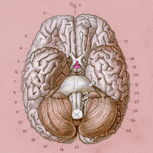 Body & Mind